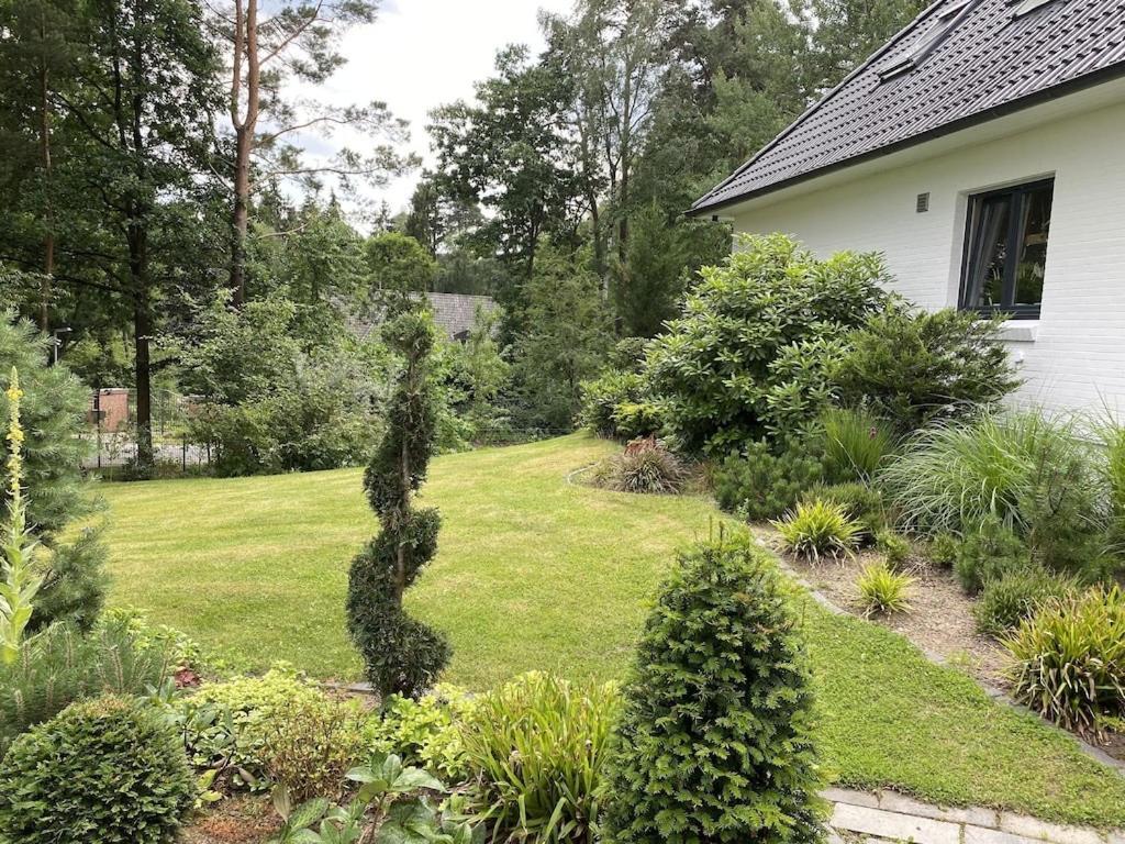 Ferienhaus Bendestorf, Waldweg 38,Naehe Hamburg Exteriör bild