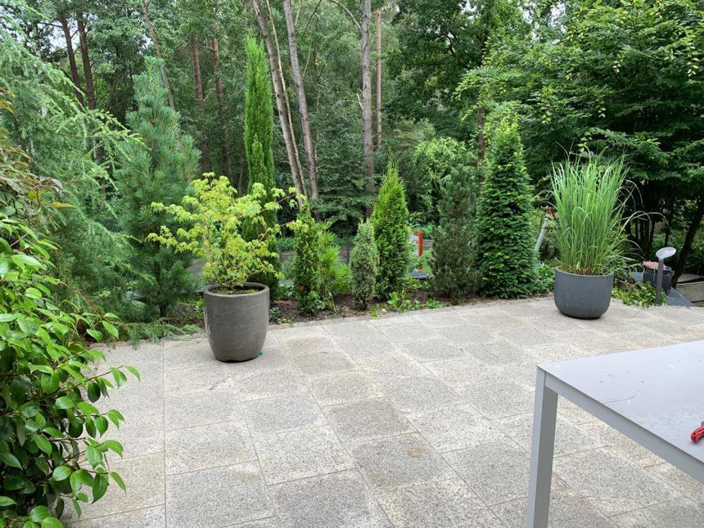 Ferienhaus Bendestorf, Waldweg 38,Naehe Hamburg Exteriör bild